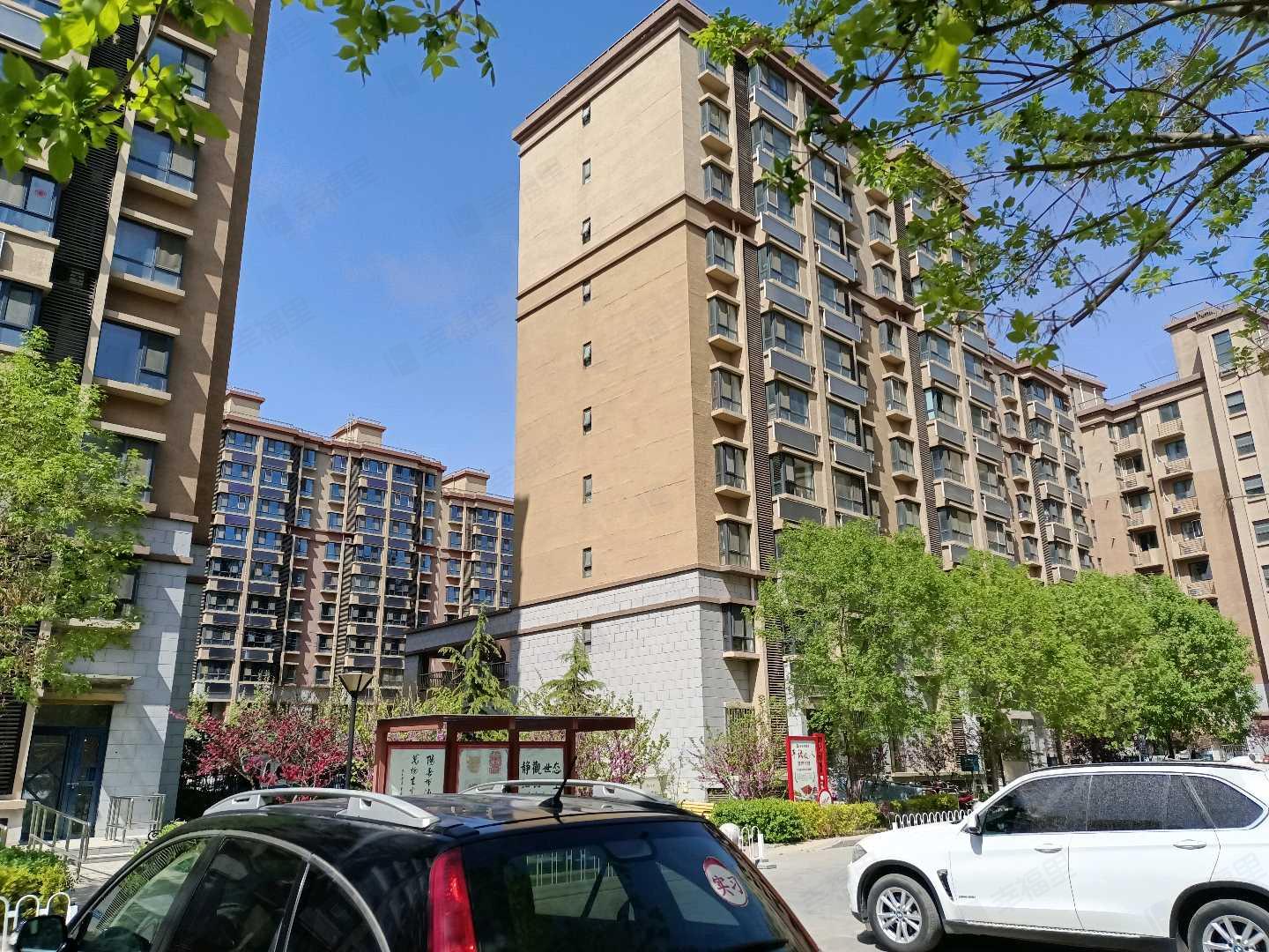 大牛坊社区小区效果图