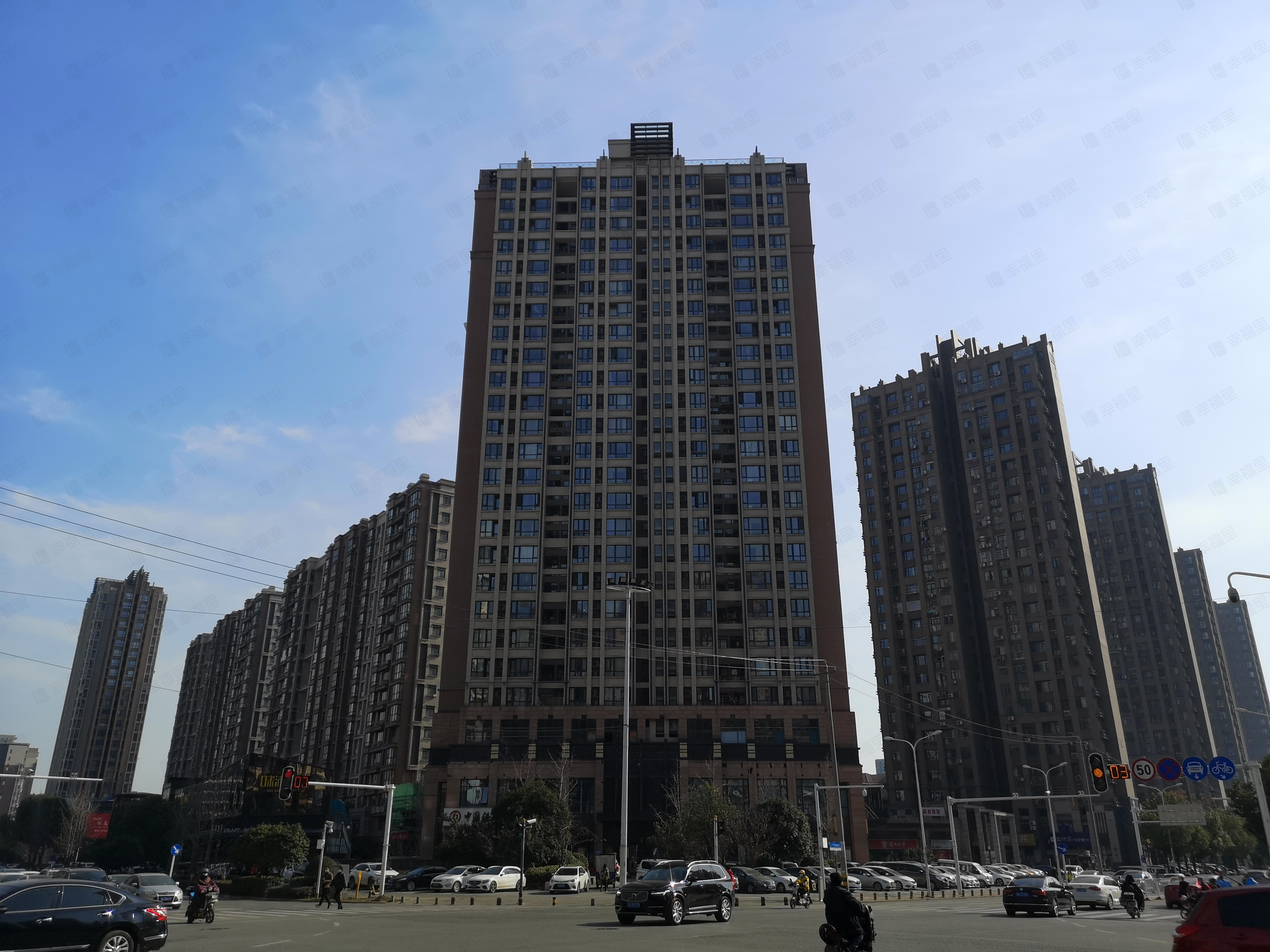 大华南湖公园世家(西区)小区效果图