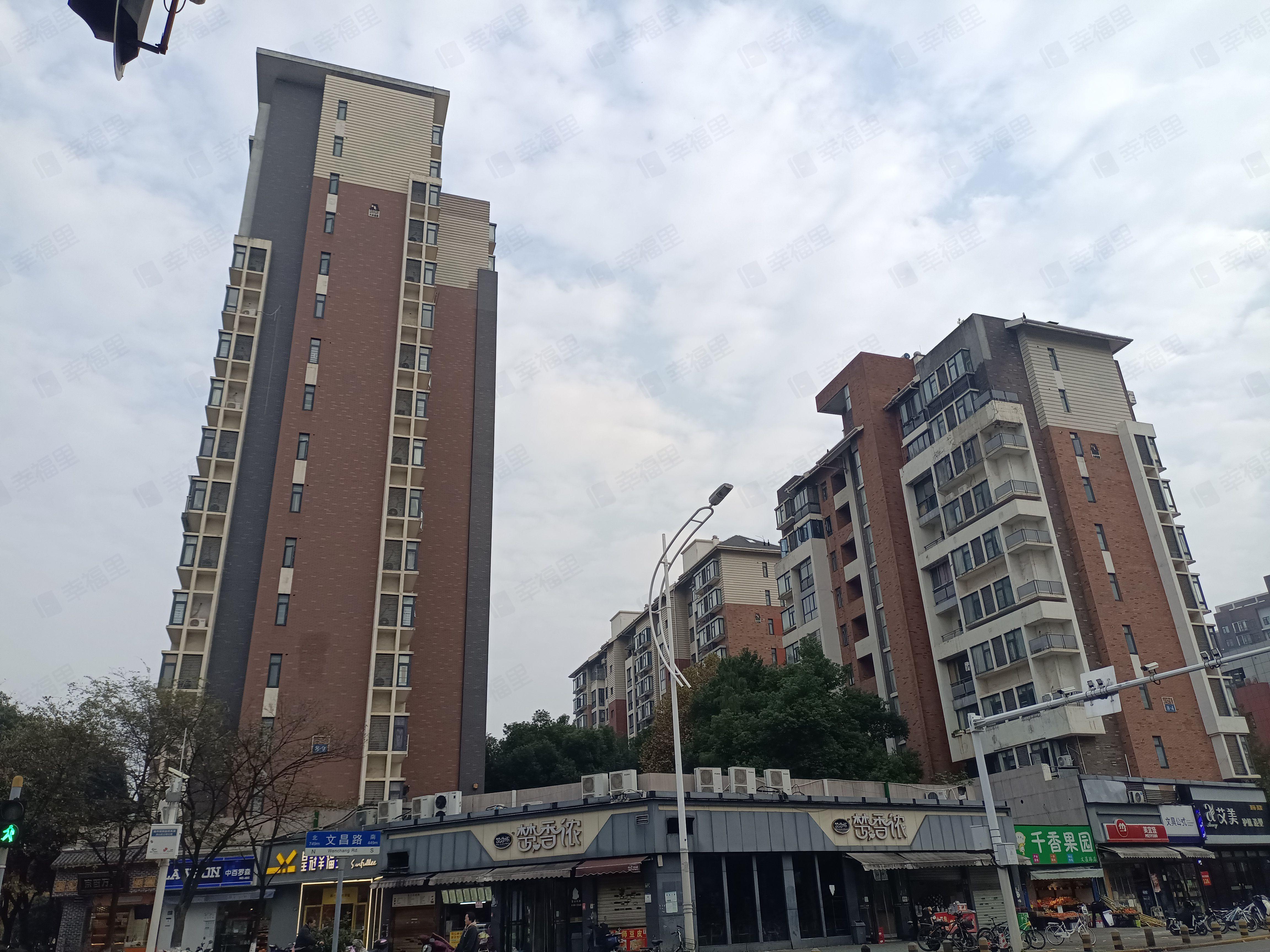 大华南湖公园世家(中区)小区效果图