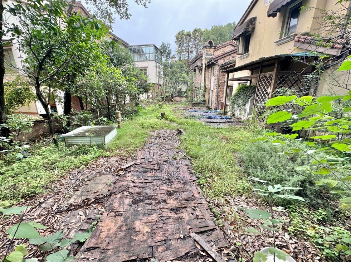 整租·坡岭顿小镇