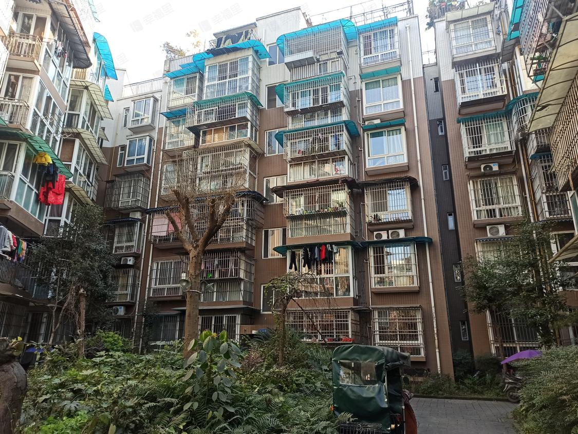 成都温江-温江老城/2000年建西街上