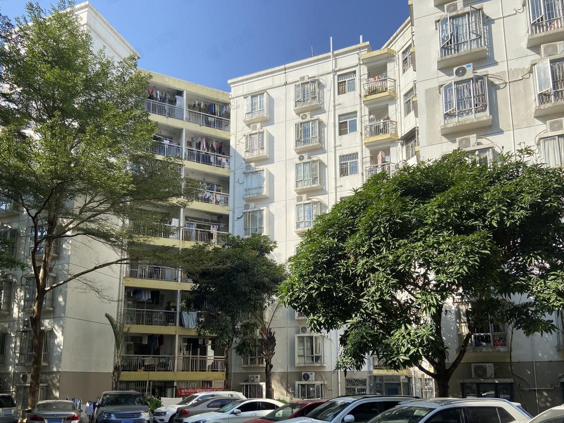 深圳龙华-龙华中心区/暂无年代桦润馨居