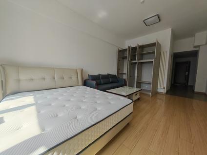 兰山王羲之故居整租 豪森丽都1室1厅/58平/中楼层