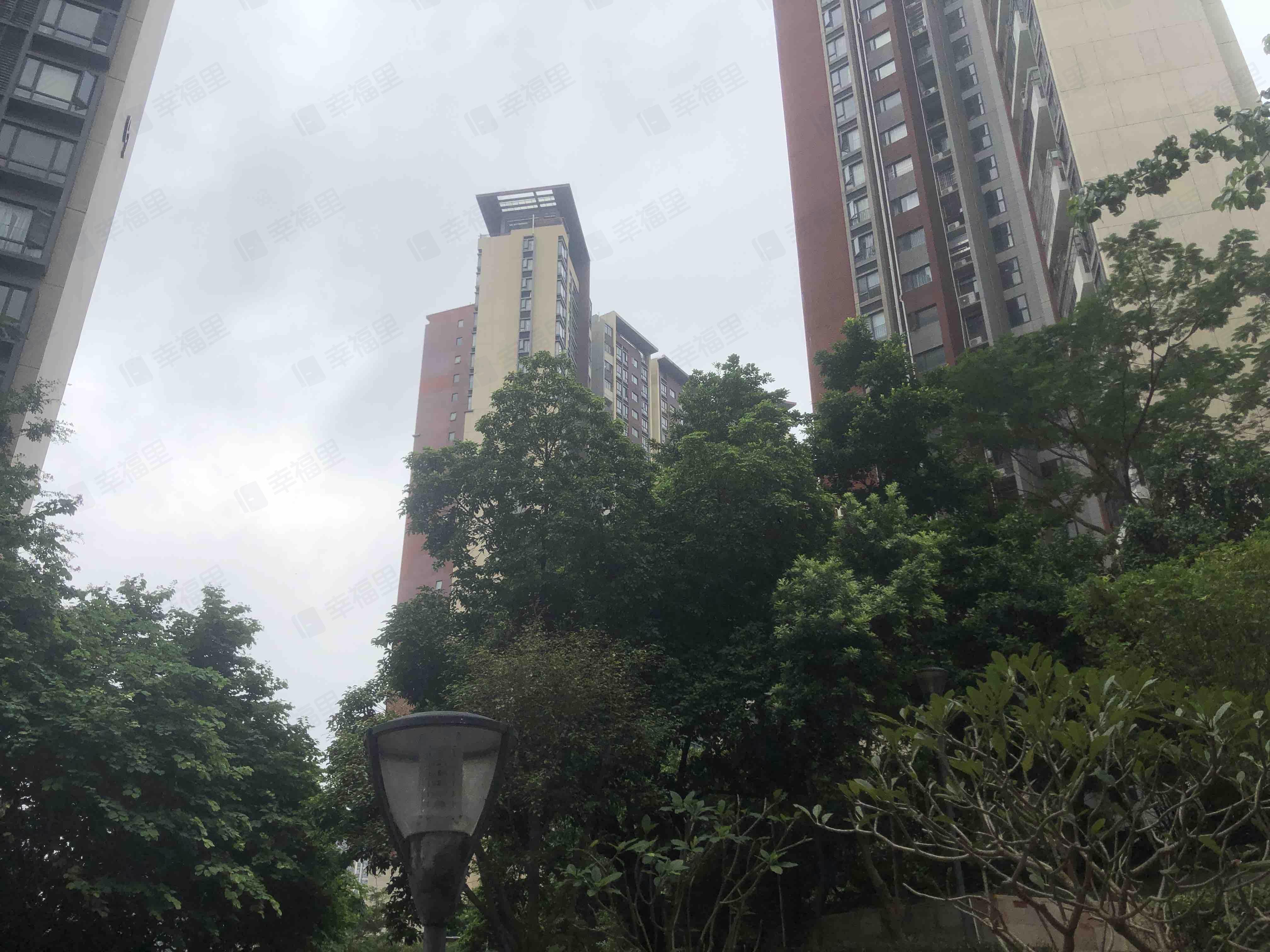 星河丹堤(E区)小区效果图