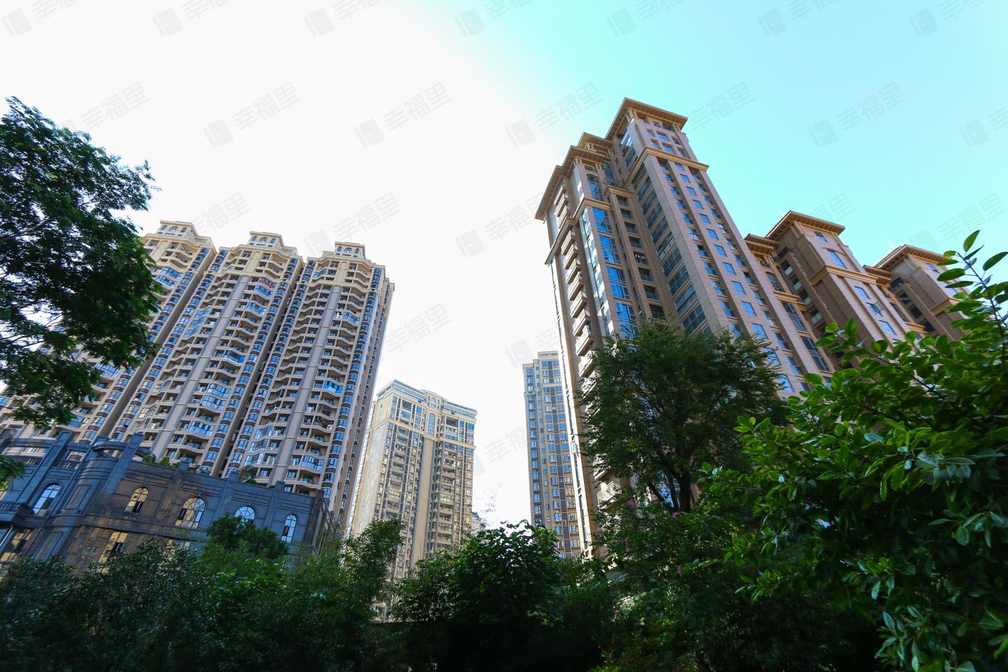 融信大卫城A区别墅小区效果图