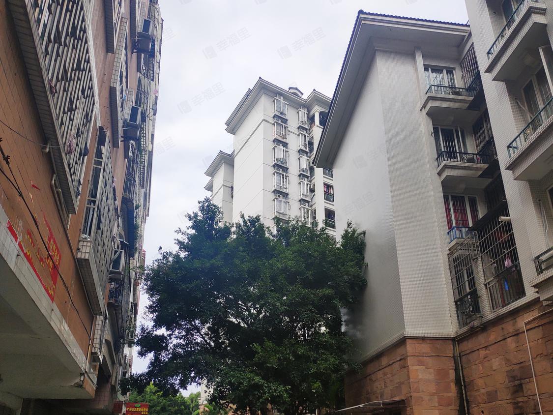 广州海珠-南洲/暂无年代丽林景苑