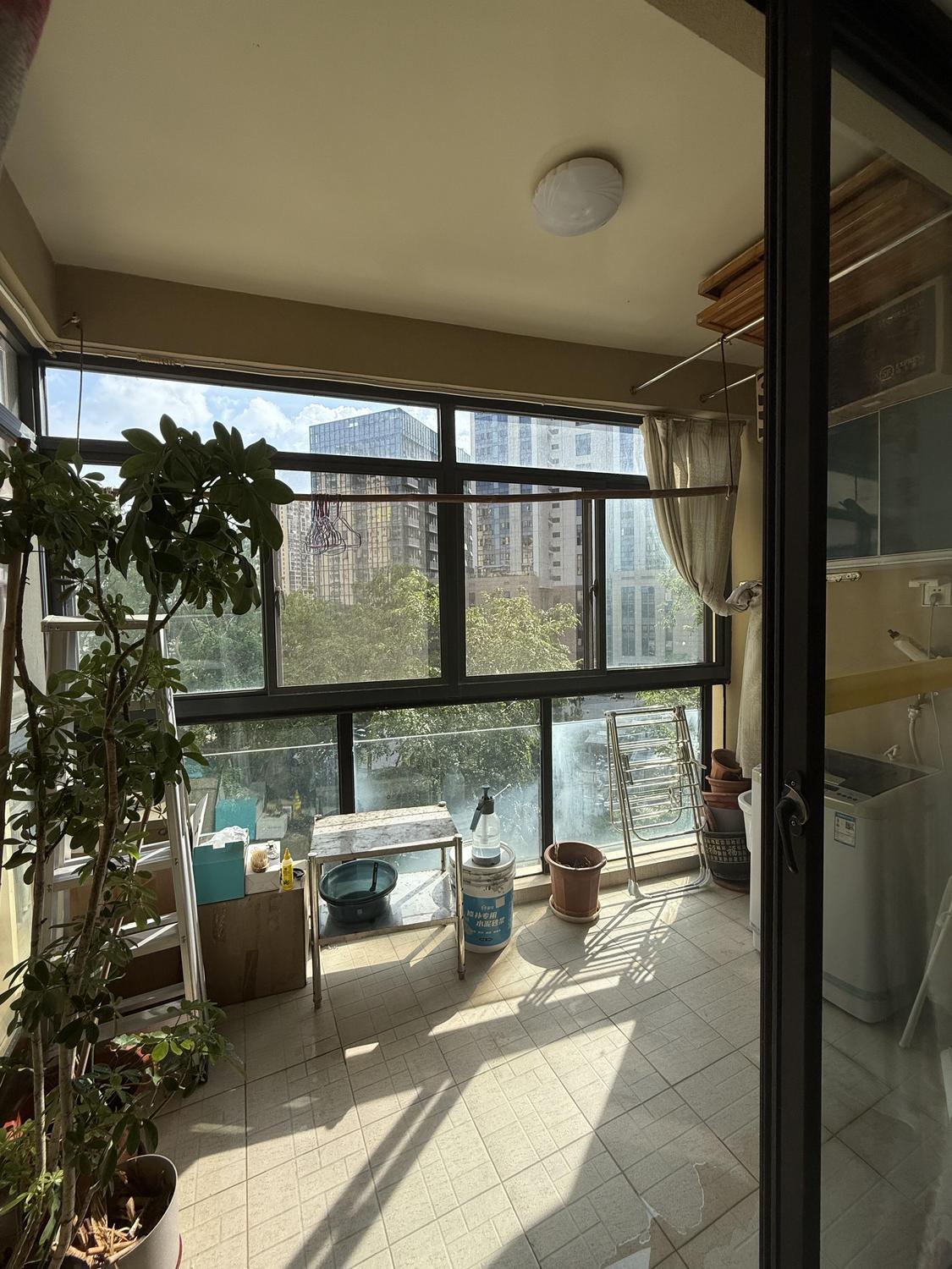 合租·东方明珠(金水区)