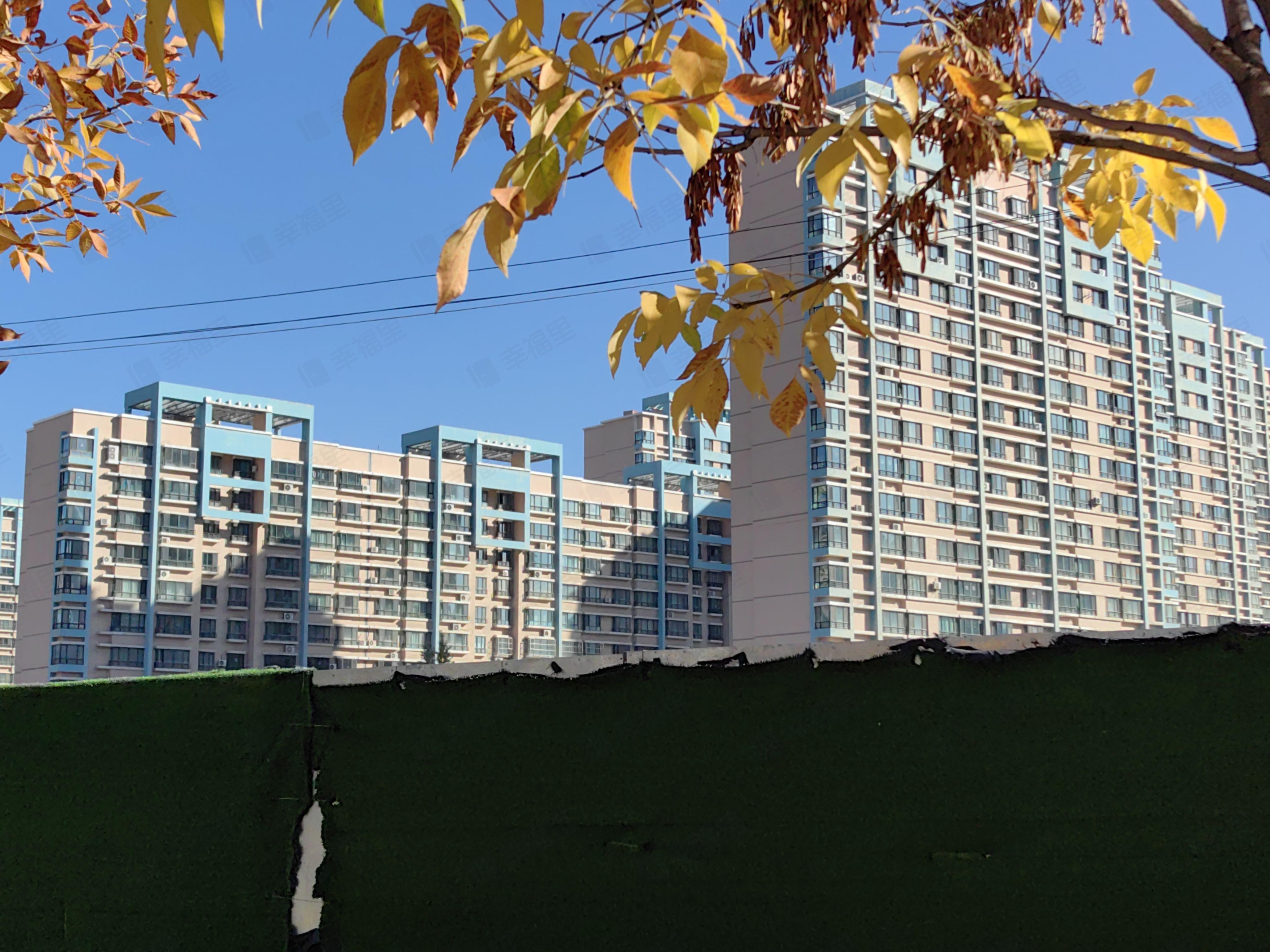 宝石花苑小区效果图