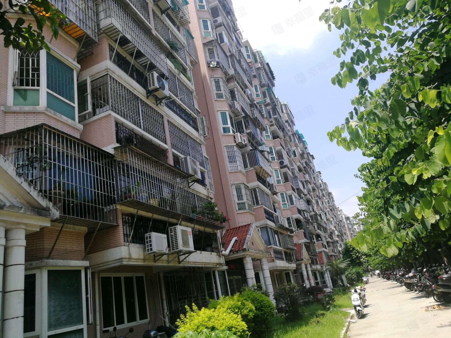 金山明星小区效果图