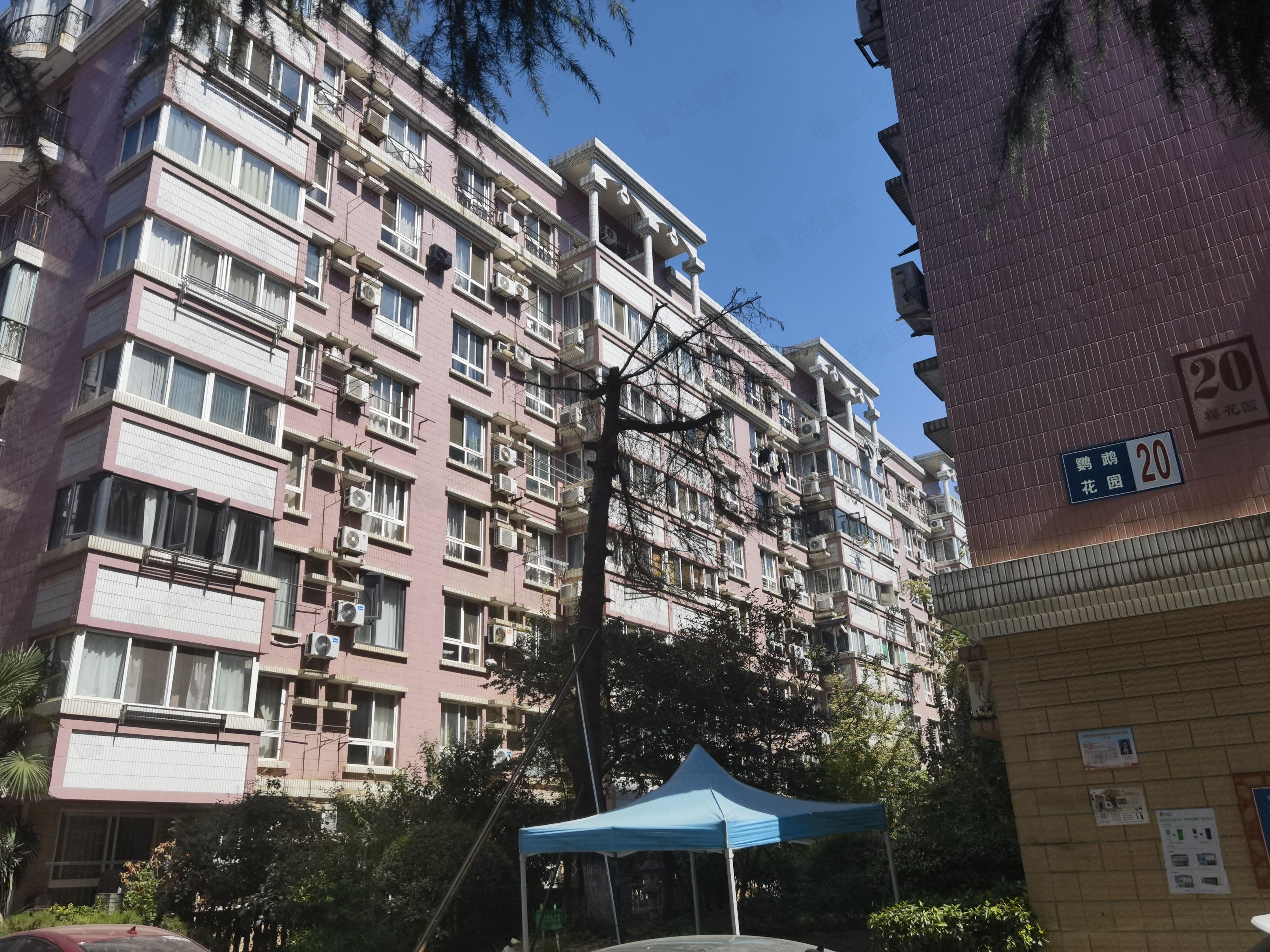 鹦鹉花园小区效果图