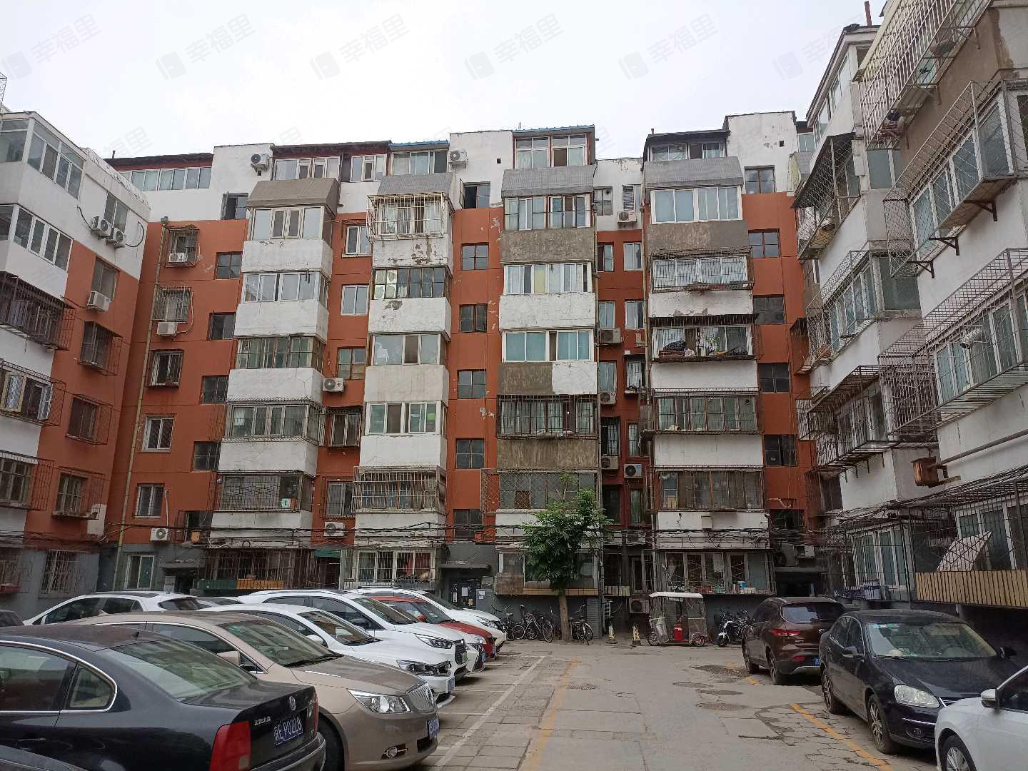 兴政东里(东区)小区效果图