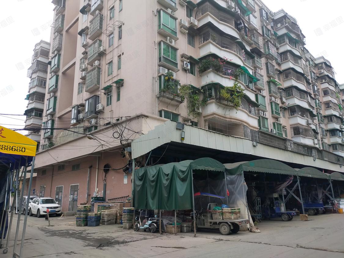广州荔湾-滘口/暂无年代万兴苑