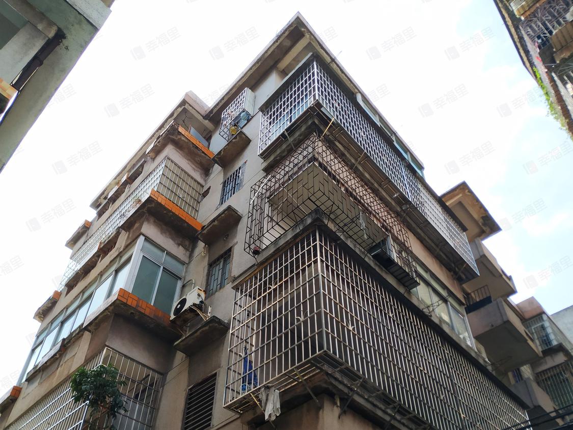 广州番禺-钟村/暂无年代顺景路横街