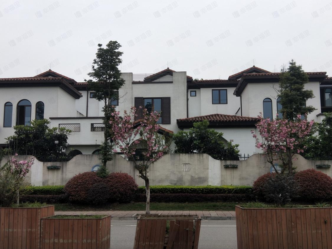 成都新津-新津/暂无年代亚特兰蒂斯瓦伦西岛