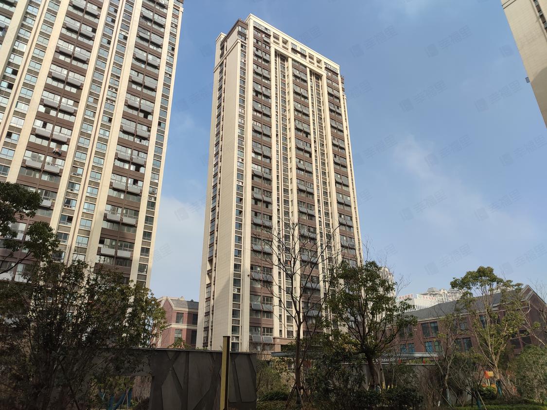 北京新站-瑶海公园/暂无年代和昌香樟原著