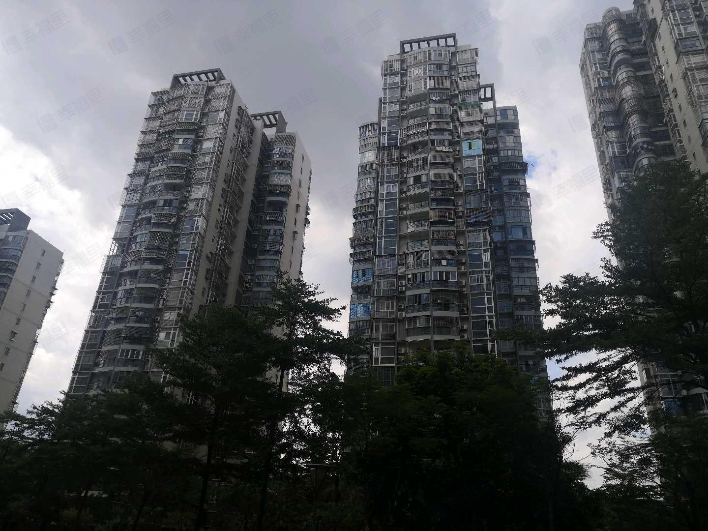 金海湾小区效果图