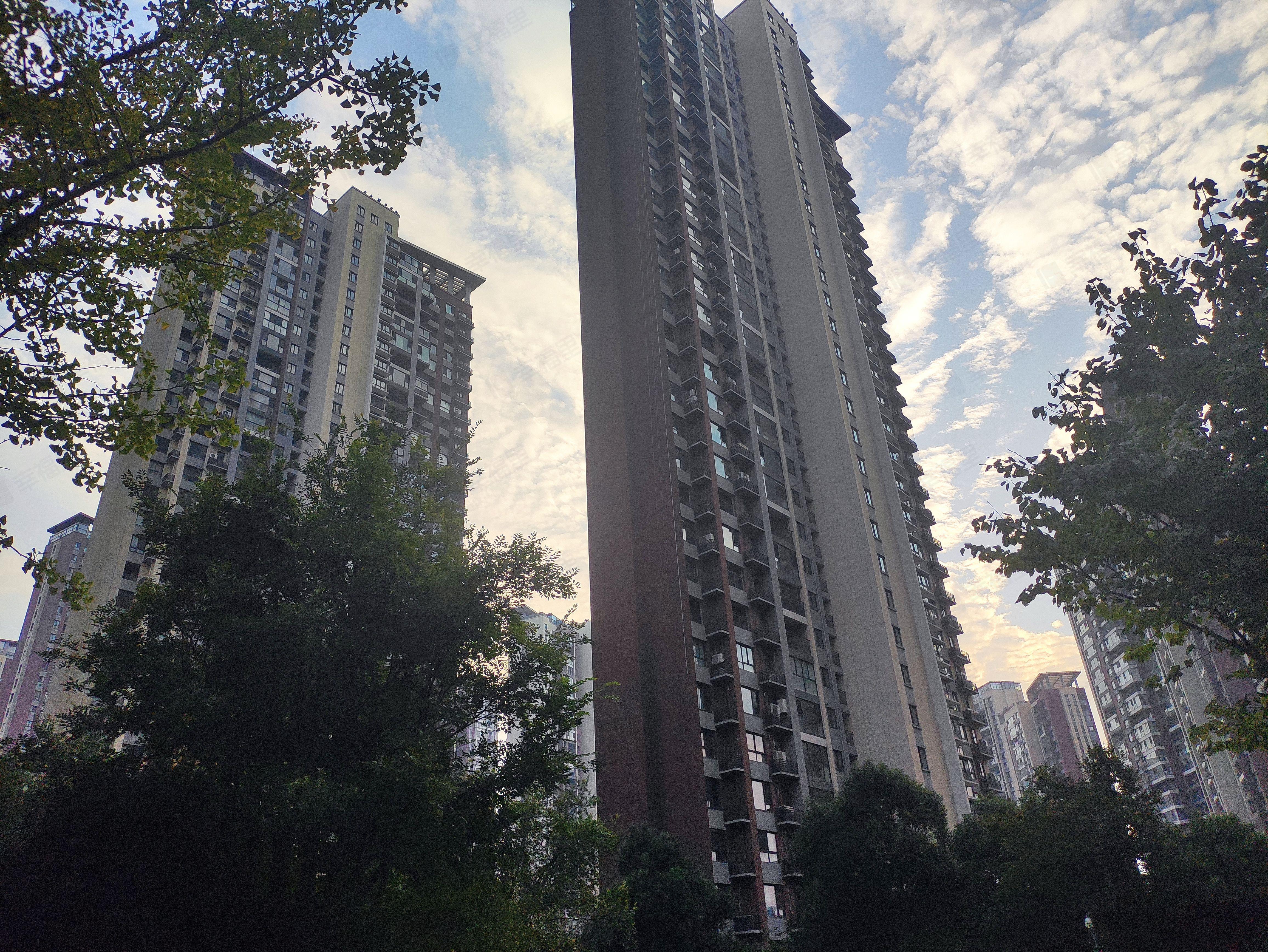 星河国际(八区)小区效果图