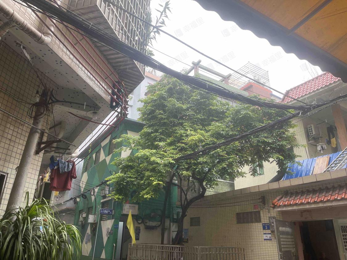 广州荔湾-芳村/暂无年代东胜里15号小区