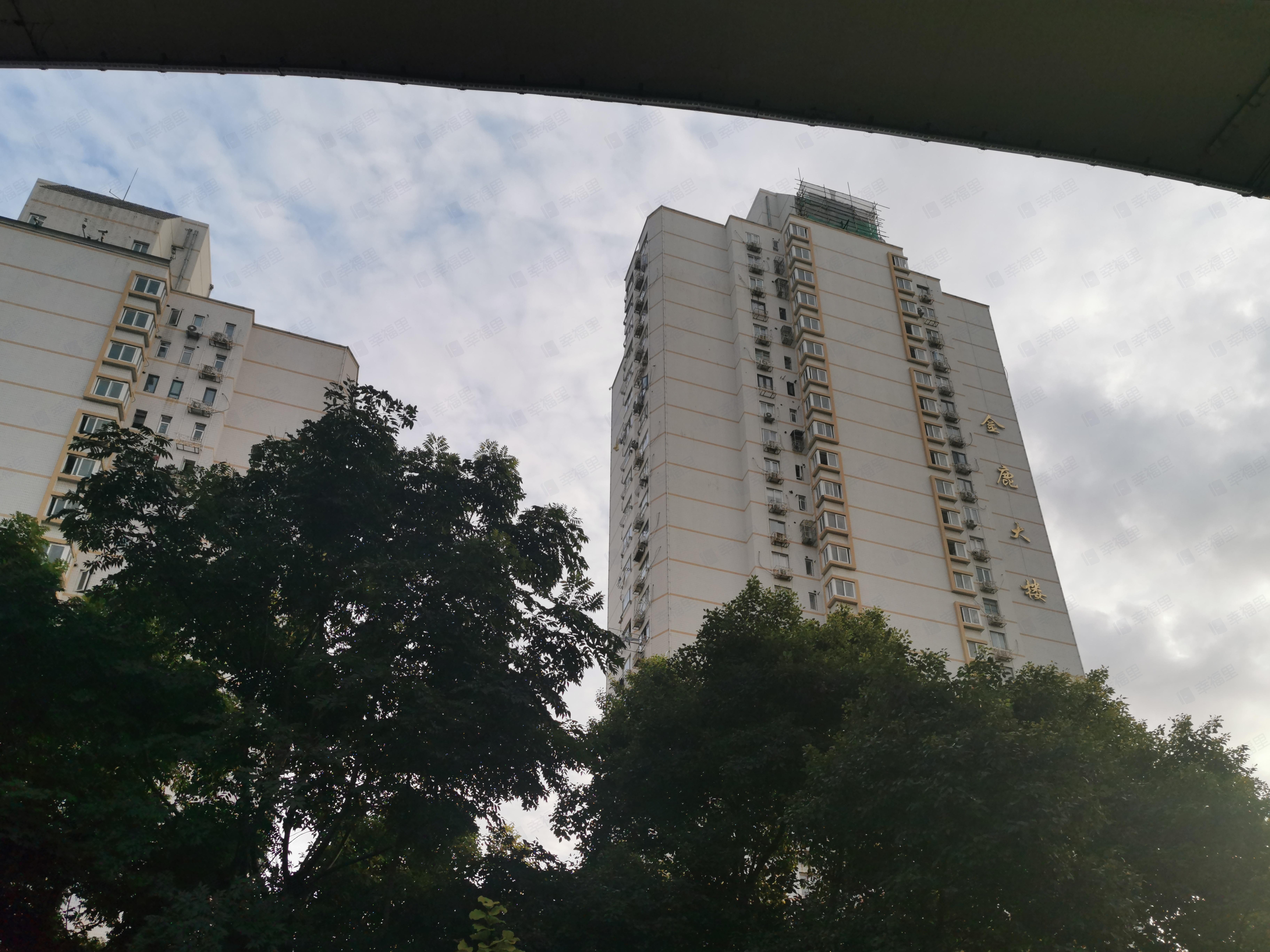 金鹿大楼小区效果图