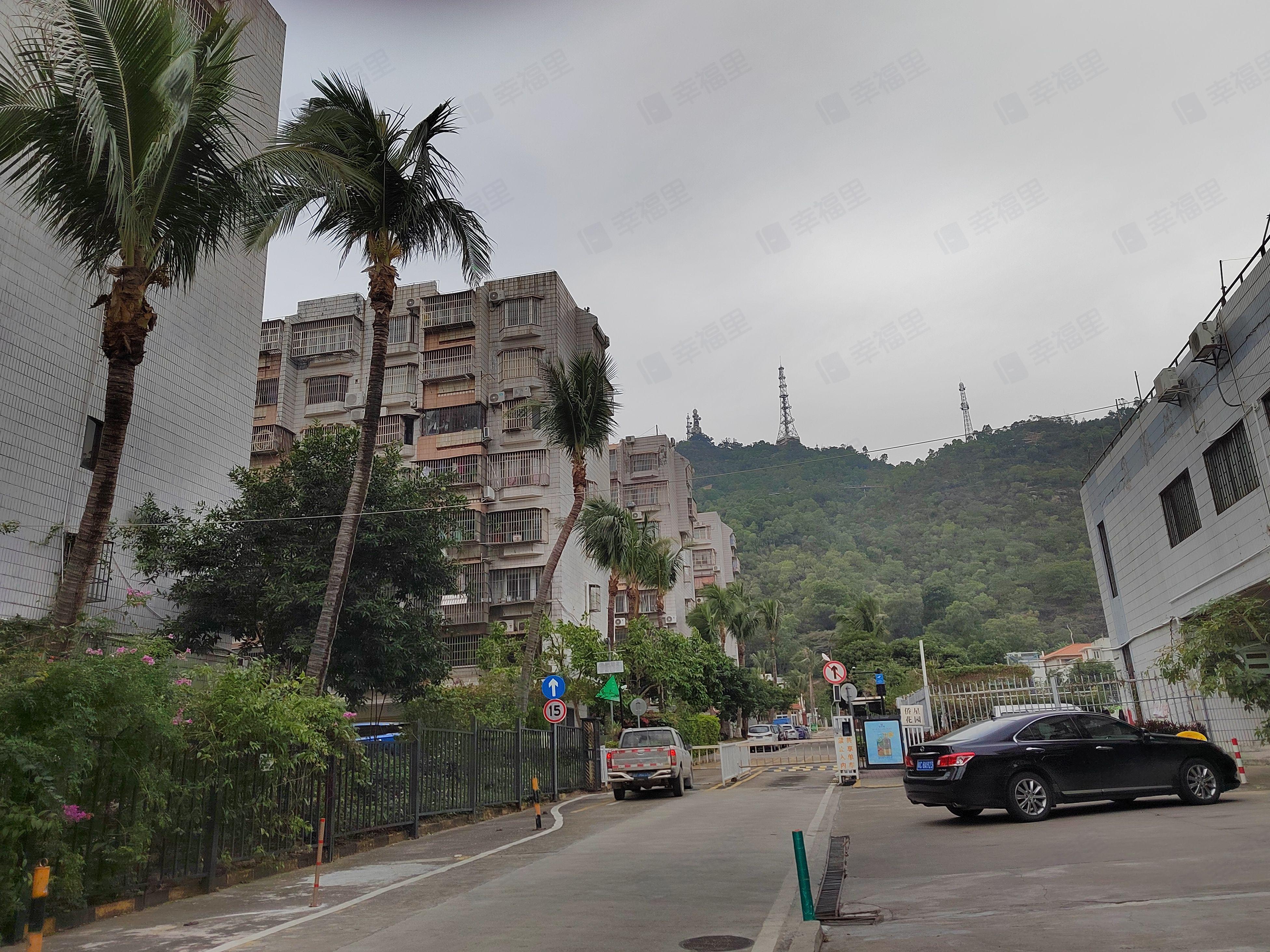 侨星花园小区效果图