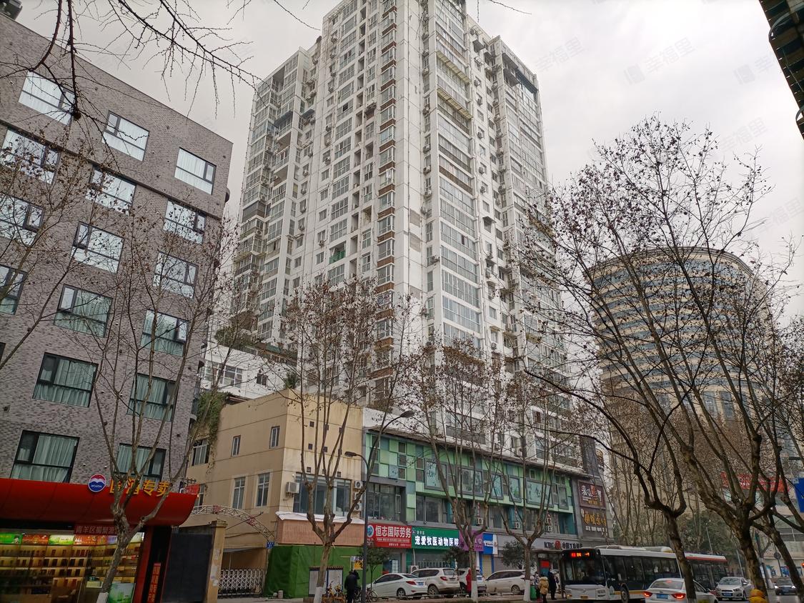 成都青羊-宽窄巷子/2009年建槐树街51号院
