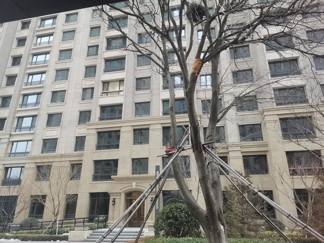 大连中山区-青云街/暂无年代青云天下