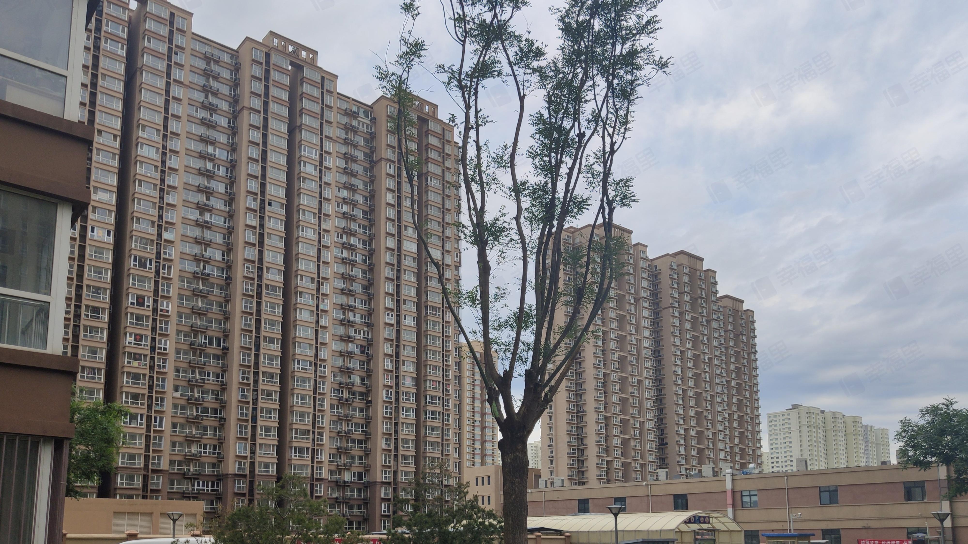 青荷里(南山园)小区效果图