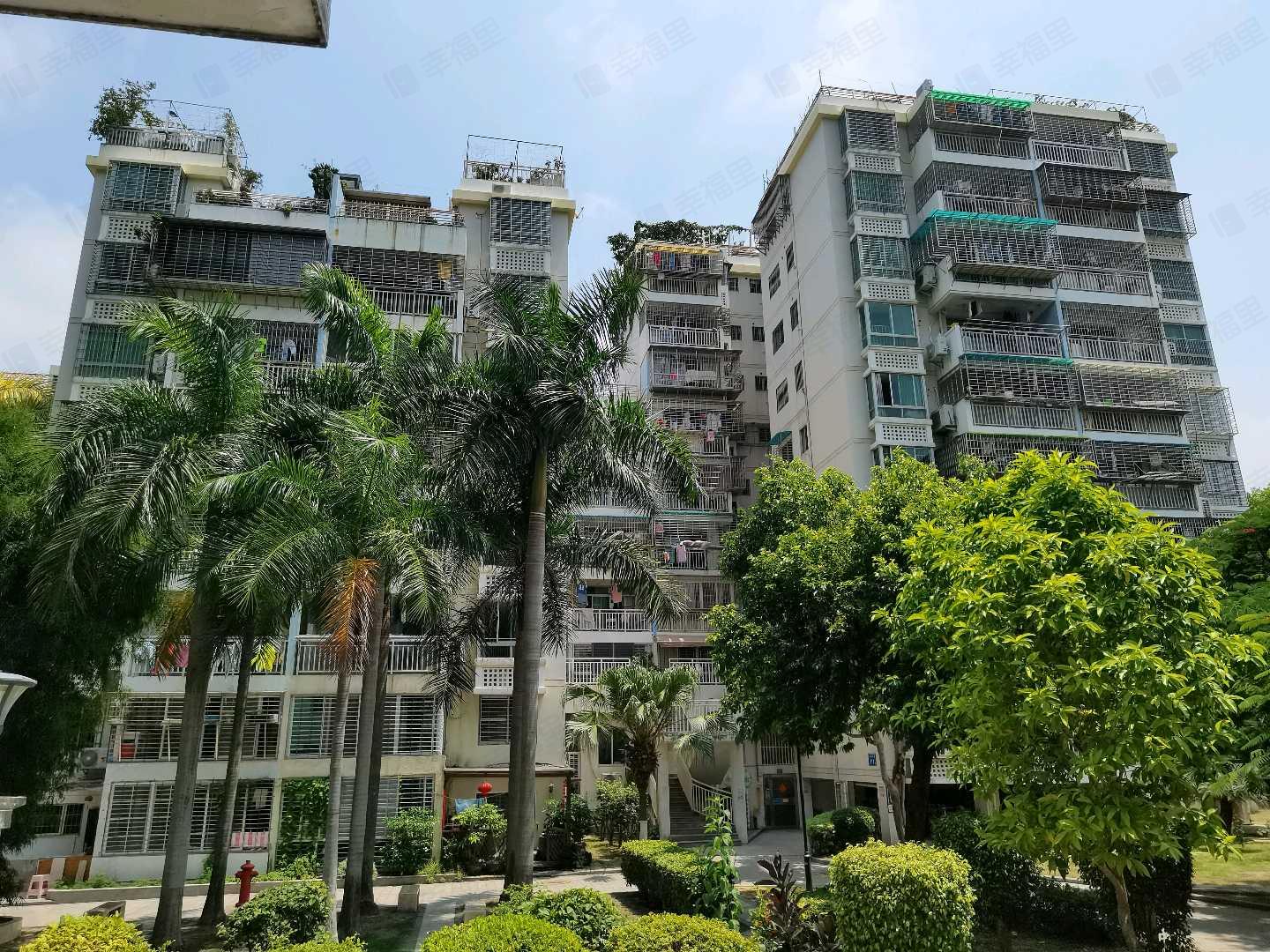 金林花园小区效果图