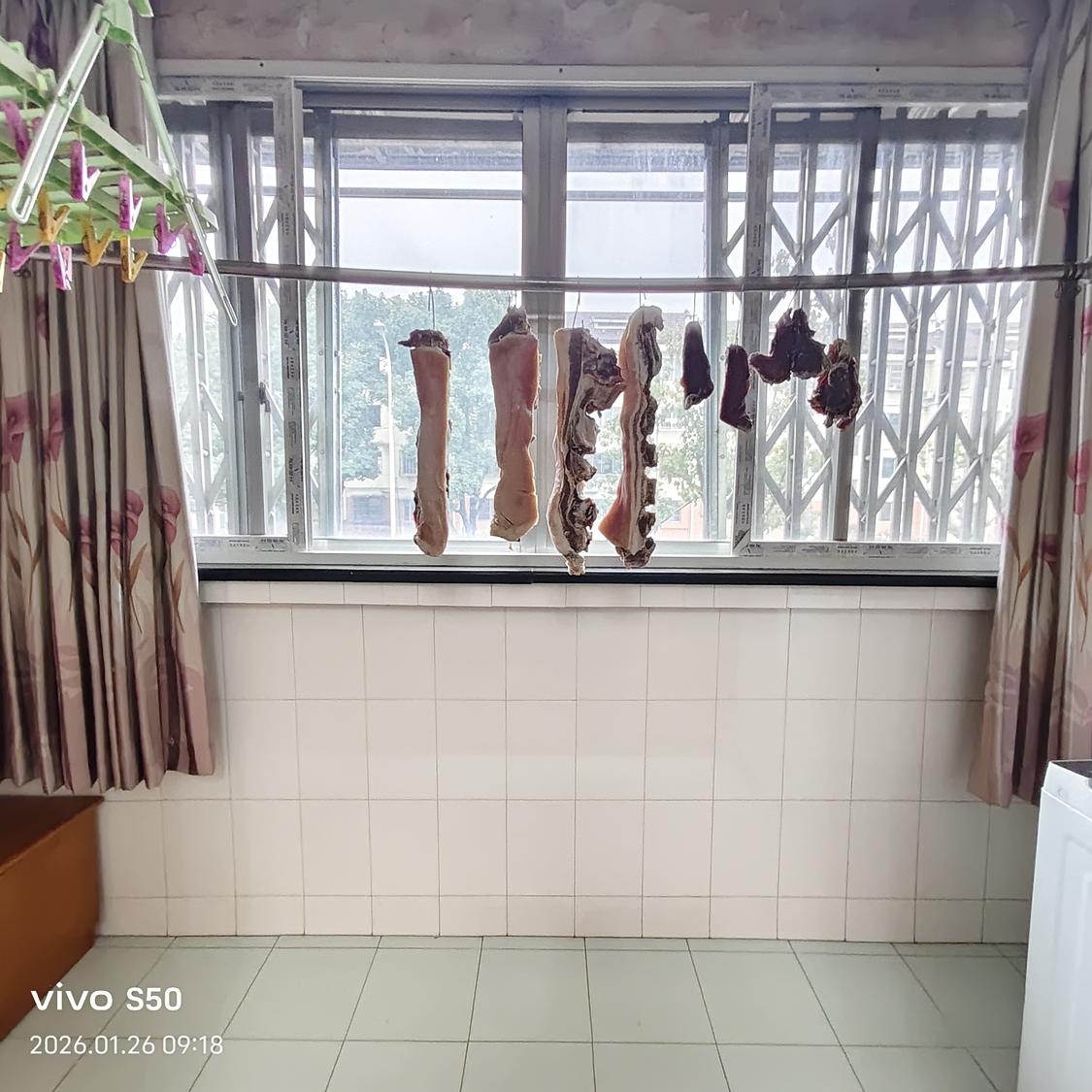 整租·泾园新村(北区)