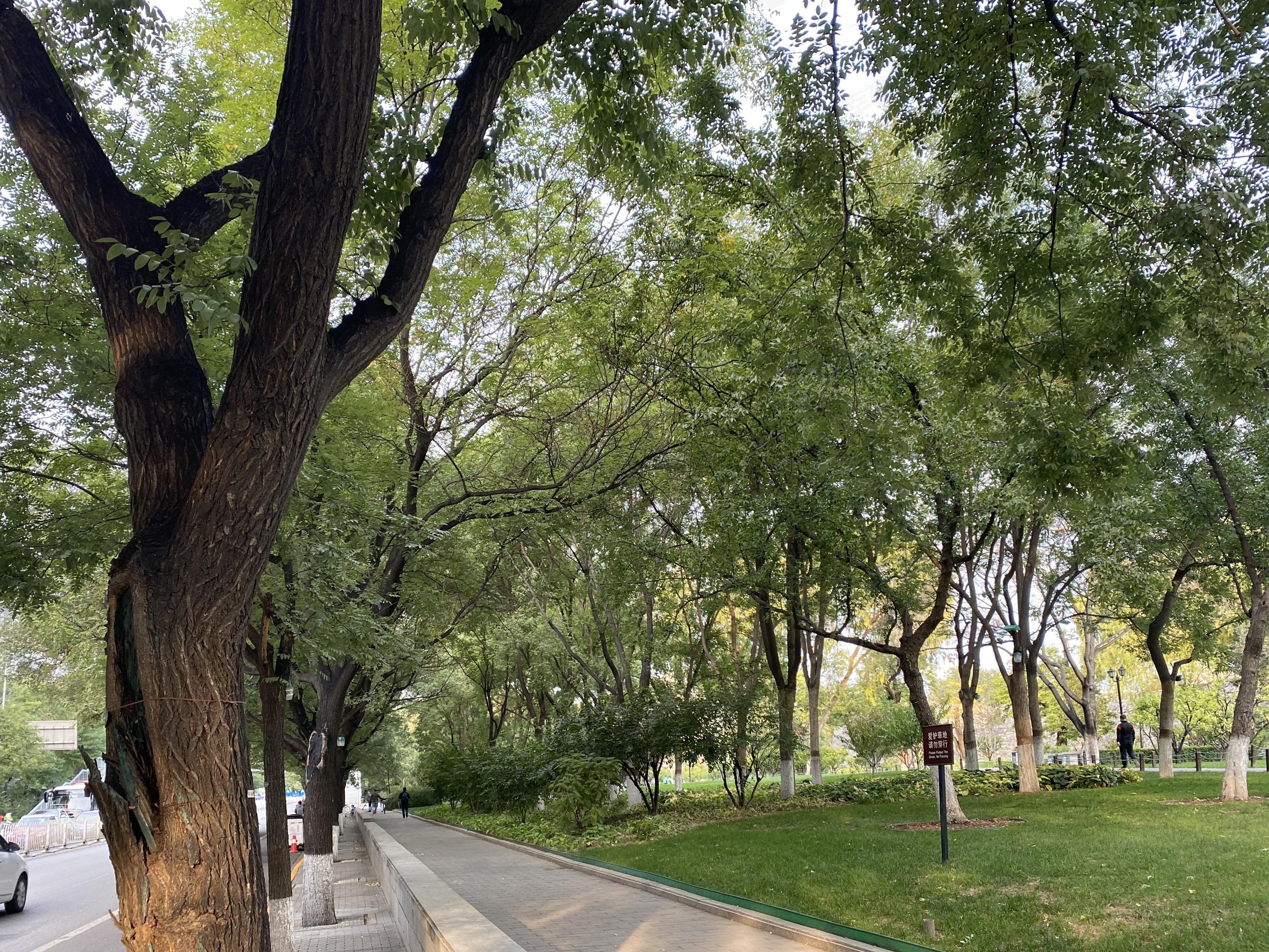 崇文门东大街小区效果图