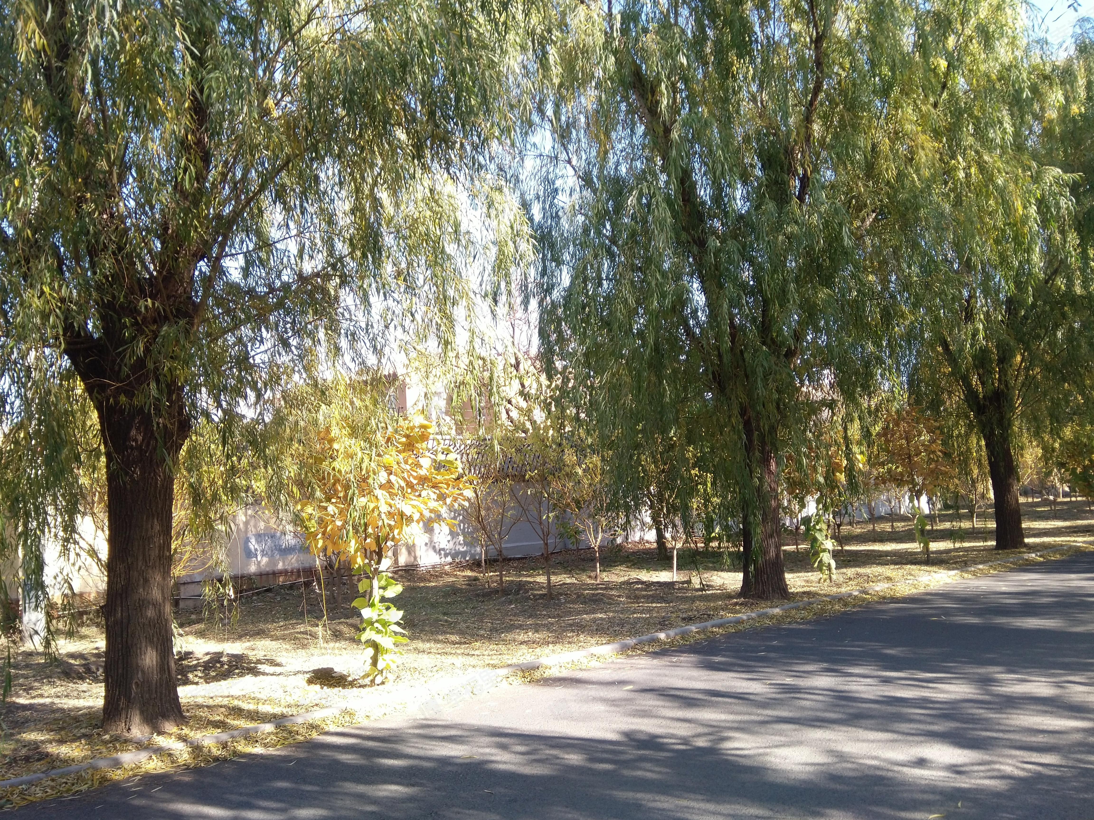 橘郡小区效果图