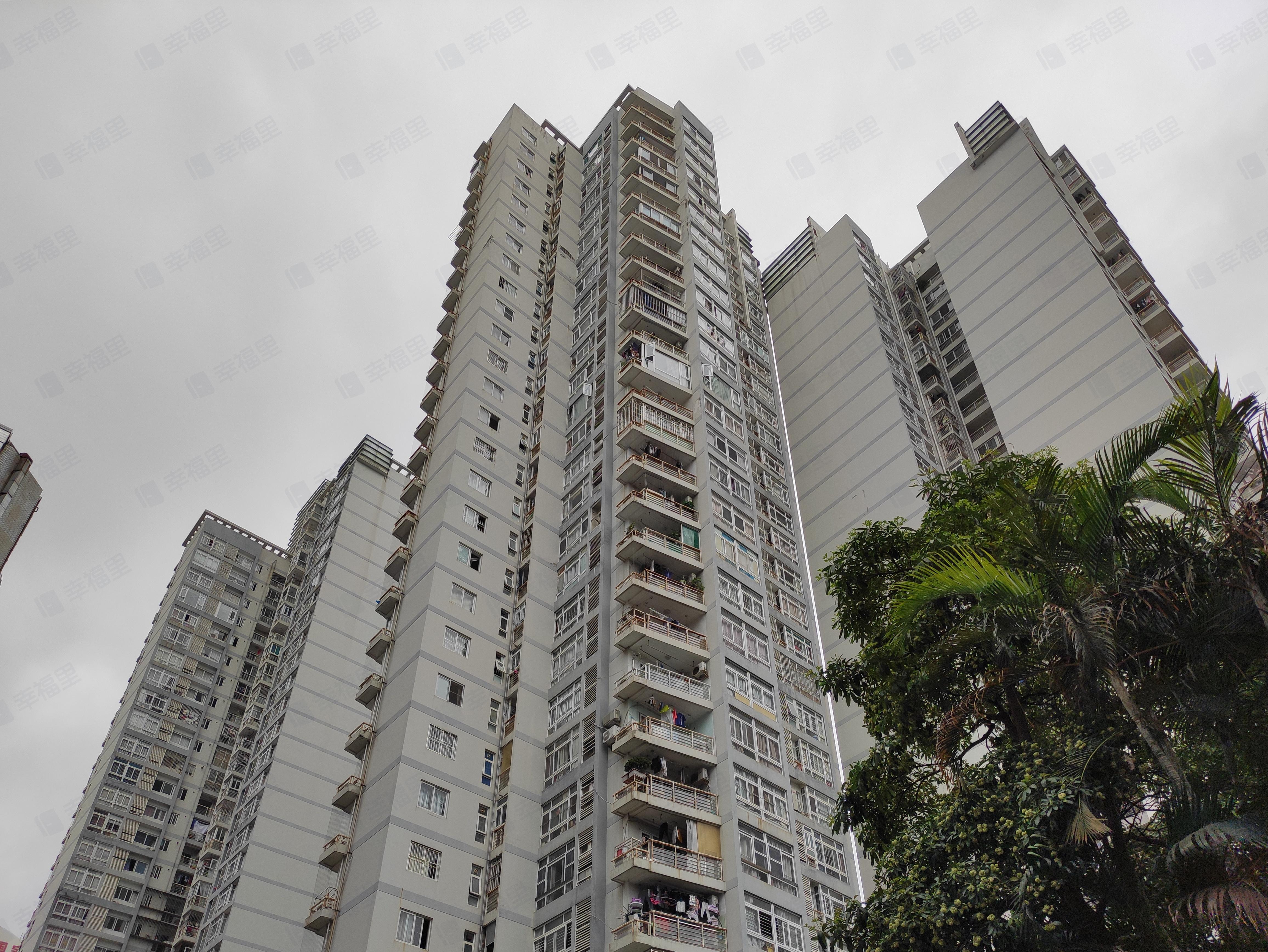 中信星光名庭小区效果图