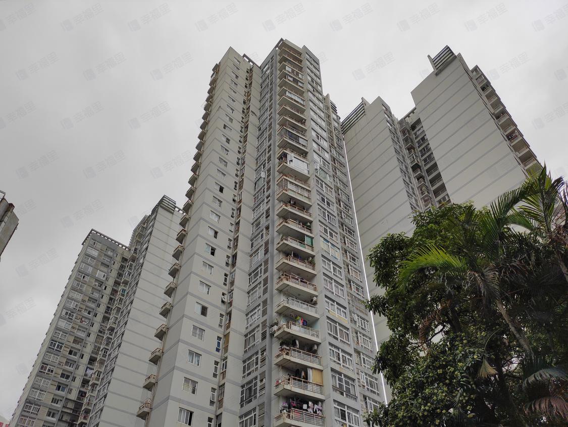 深圳罗湖-东门/暂无年代中信星光名庭