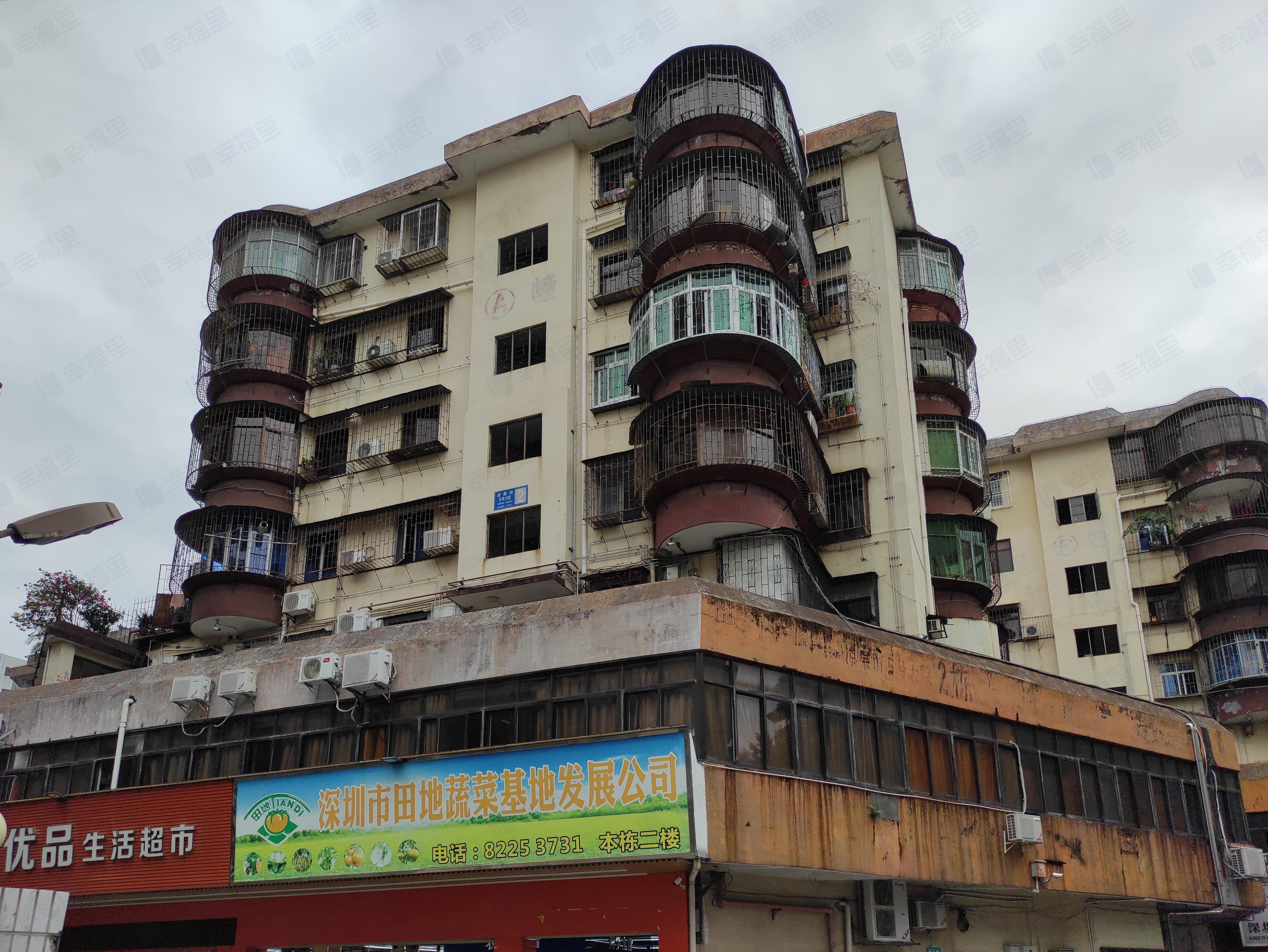 凉果街(5号大院)小区效果图