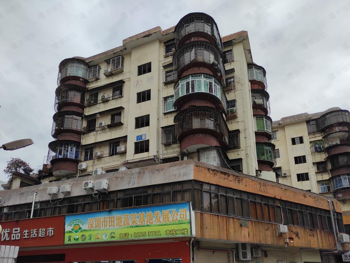 深圳罗湖-东门/1990年建凉果街(5号大院)