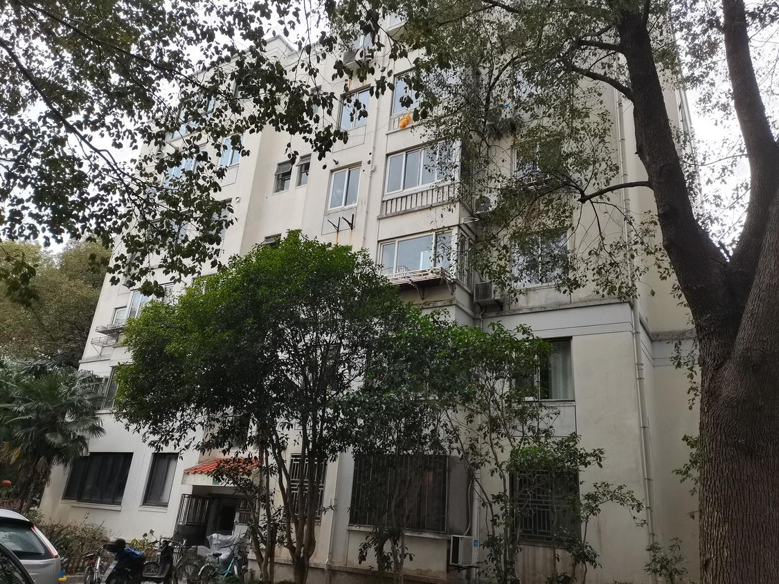 上海浦东-碧云/暂无年代罗山花苑(一期)