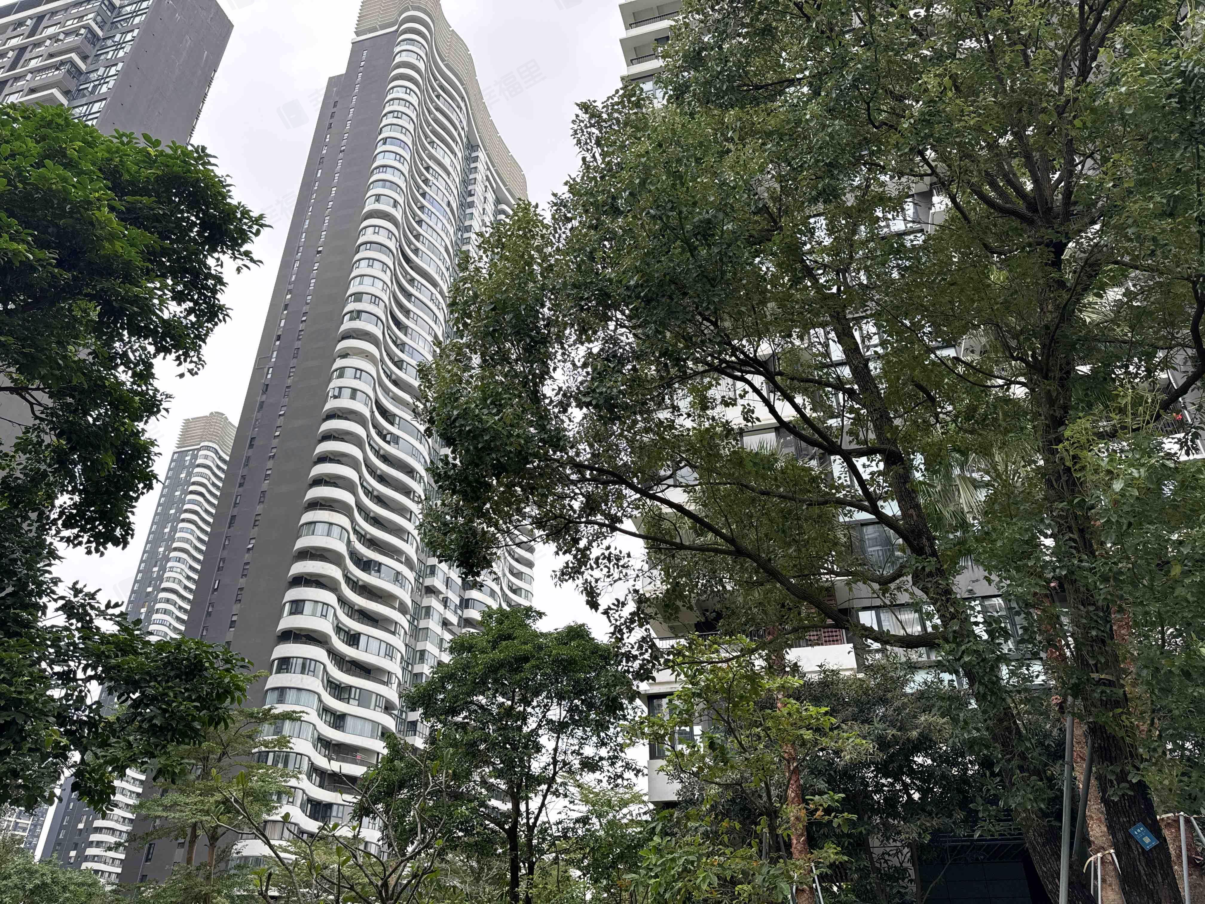 中信红树湾小区效果图