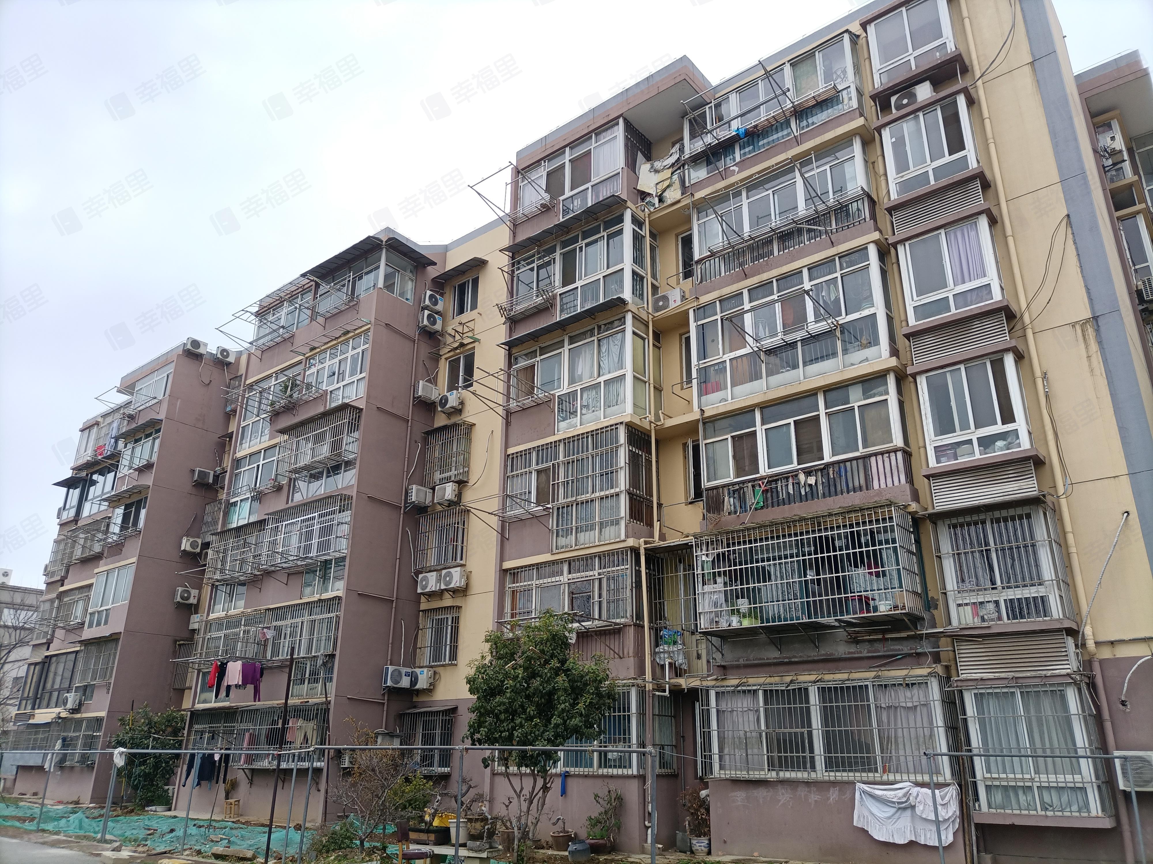 郁金香花苑小区效果图