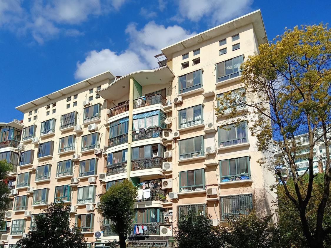 上海浦东-金桥/2002年建金燕家苑