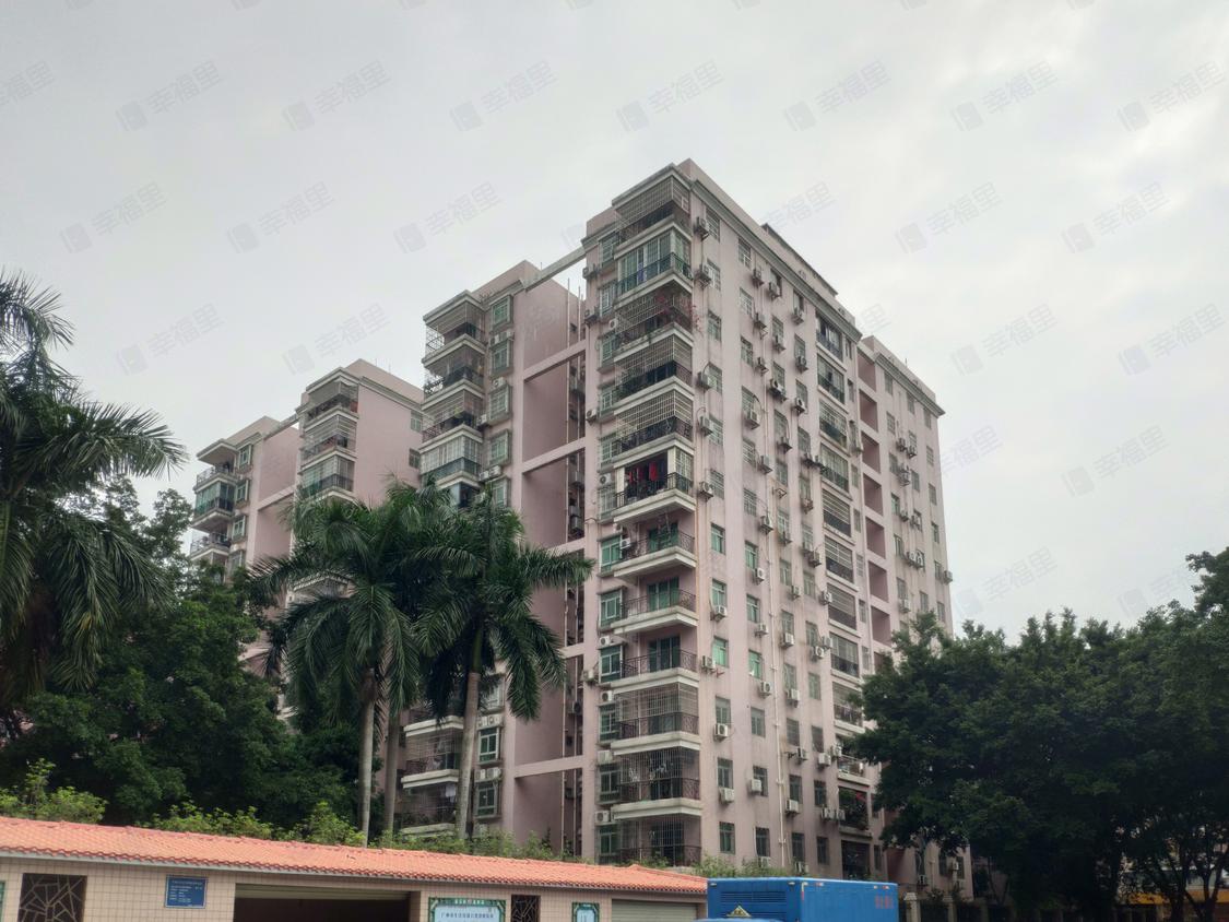 广州天河-员村/暂无年代畜牧公司宿舍