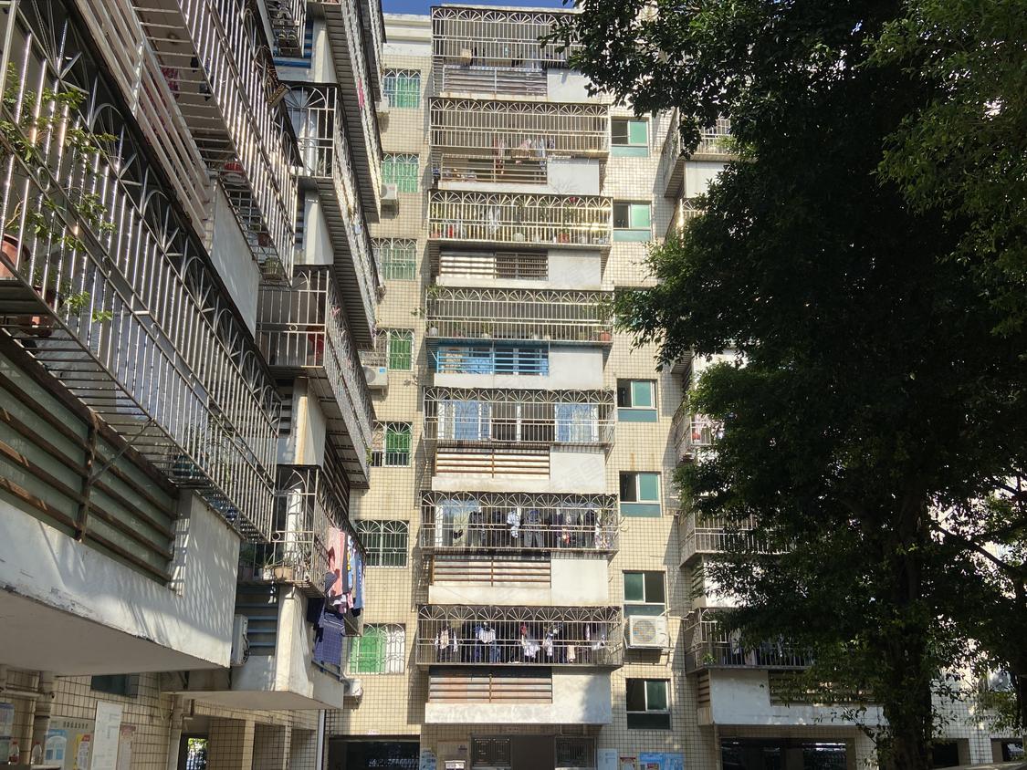 深圳龙华-龙华中心区/1995年建中环阁