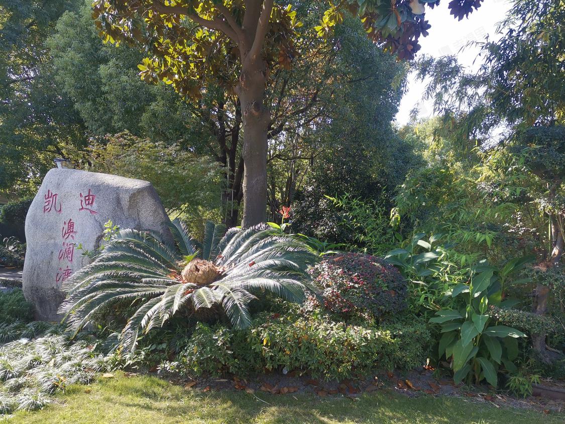 上海青浦-赵巷/2008年建凯迪赫菲庄园(西区)