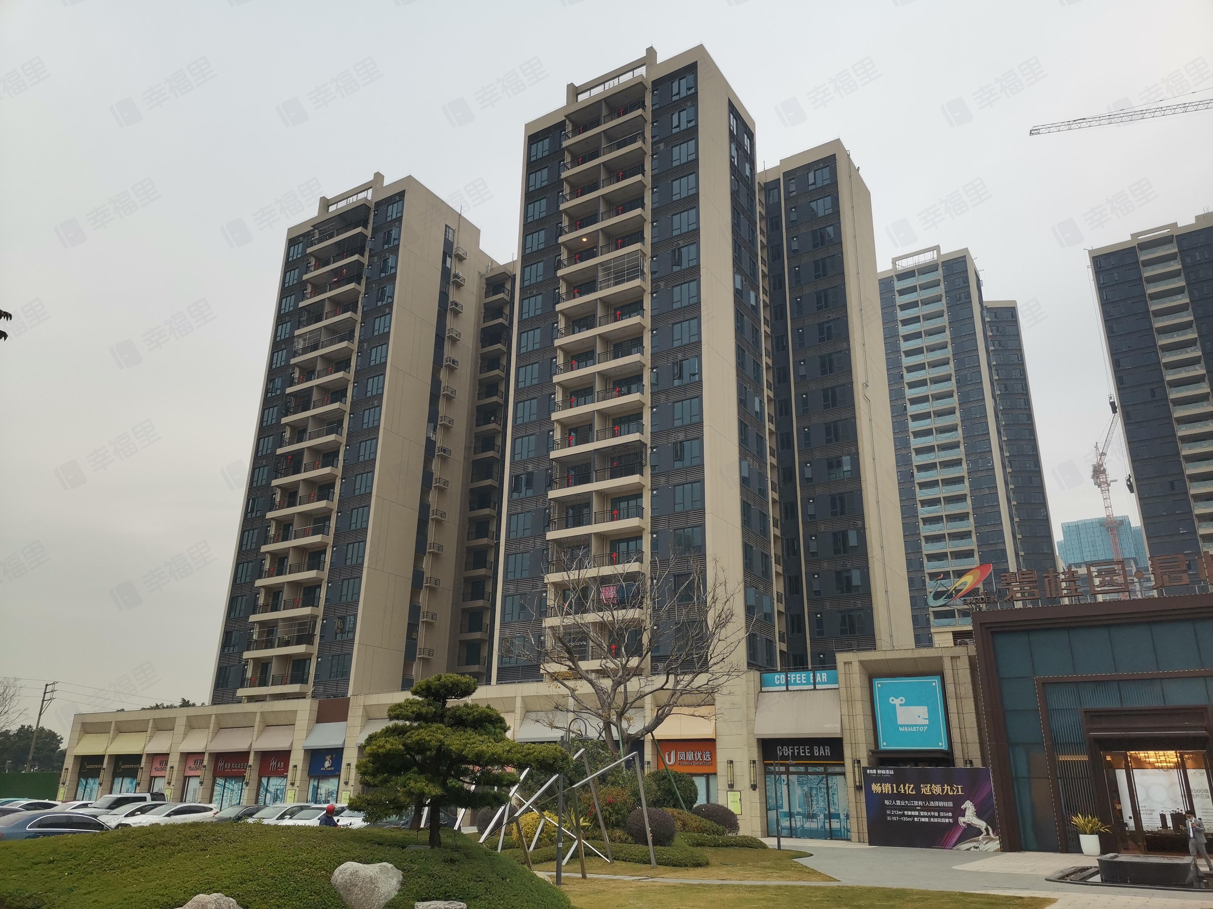 碧桂园君临壹品小区效果图