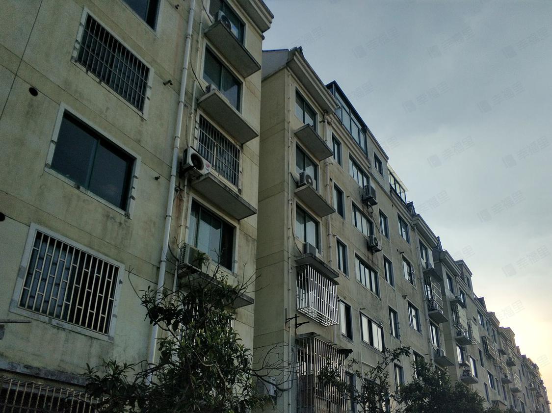 上海浦东-周浦/2005年建南郊花园