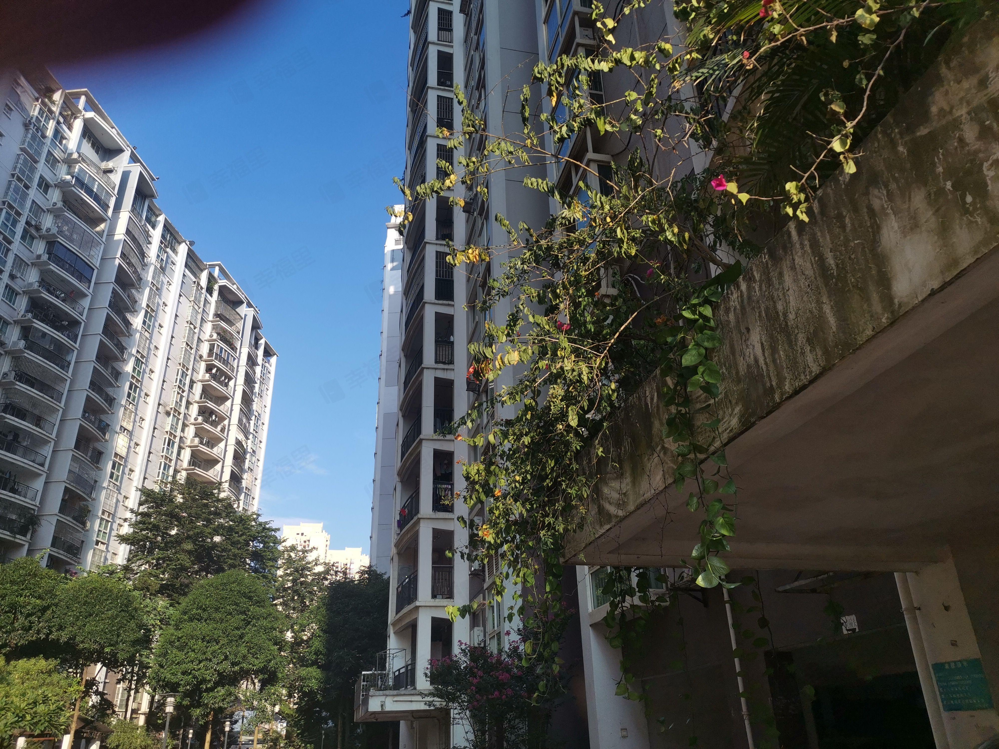 外运丽汇嘉园小区效果图