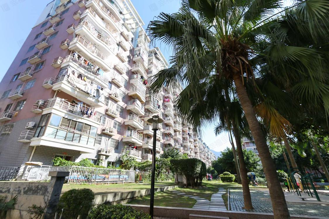 整租·金辉东景