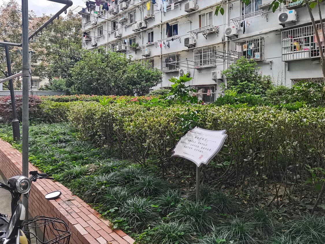 上海黄浦-蓬莱公园/1970年建海潮新村