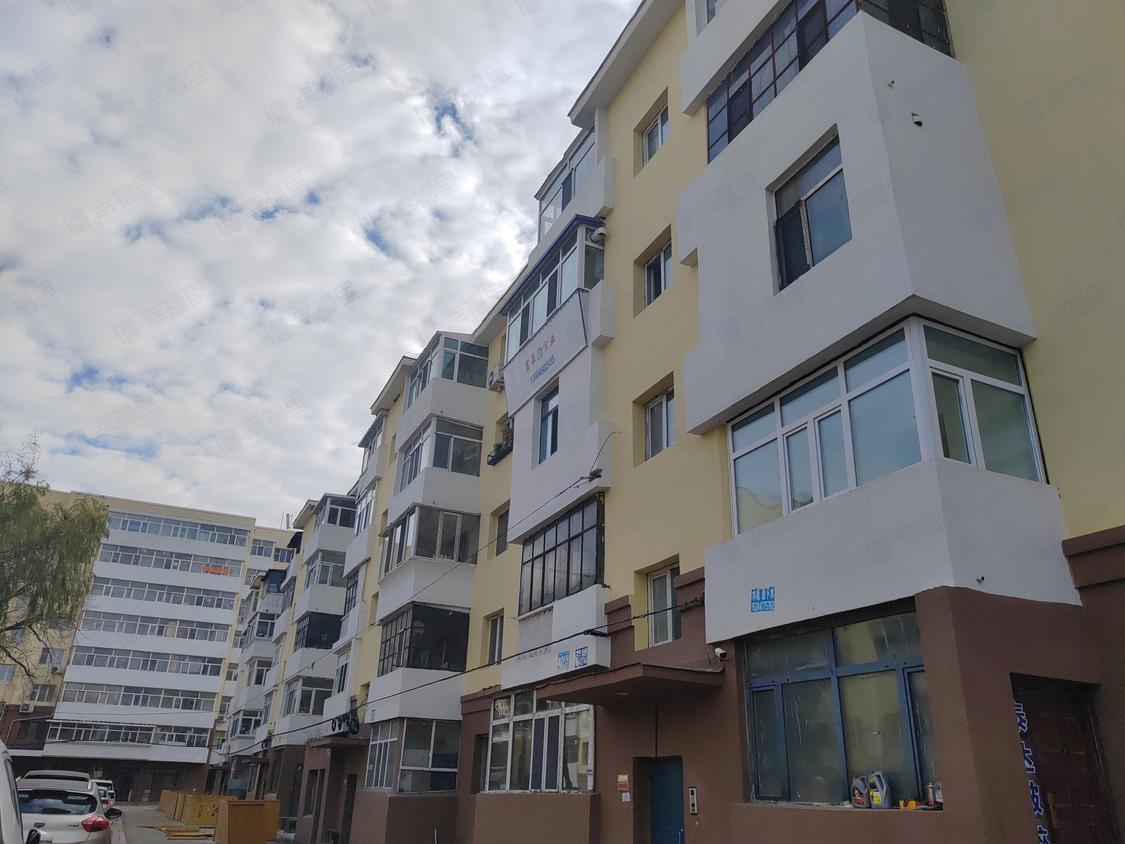 哈尔滨香坊-东北林业大学/1995年建林大宿舍