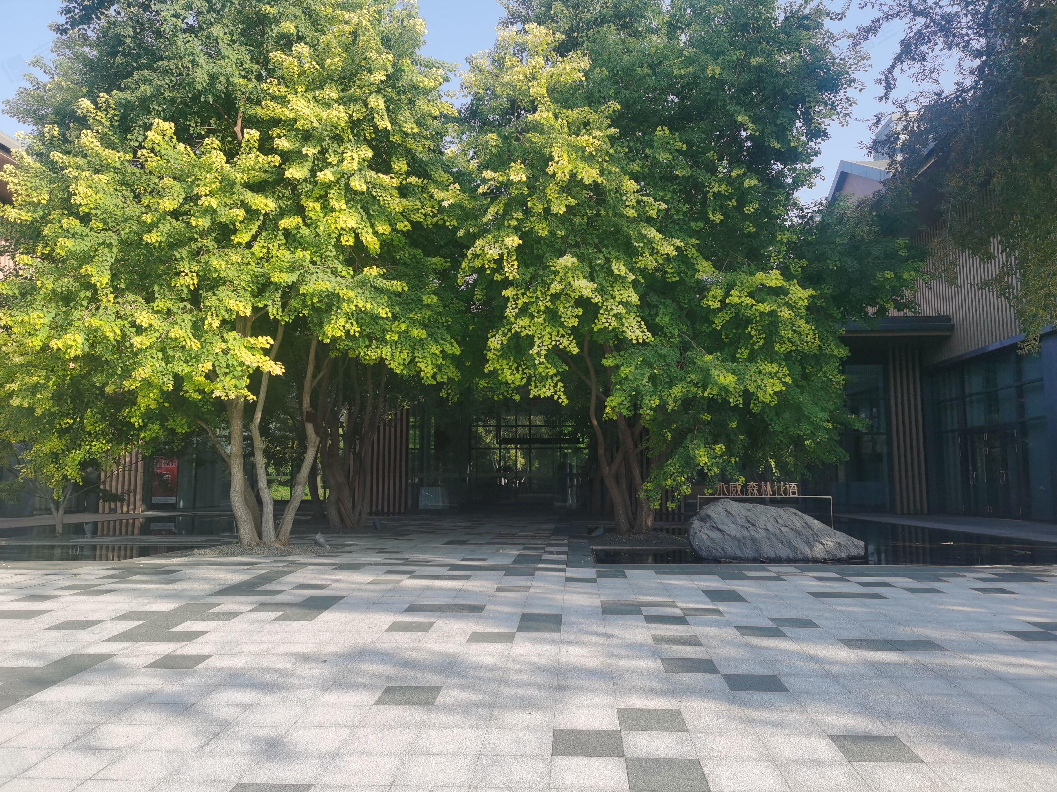 永威森林花语小区效果图