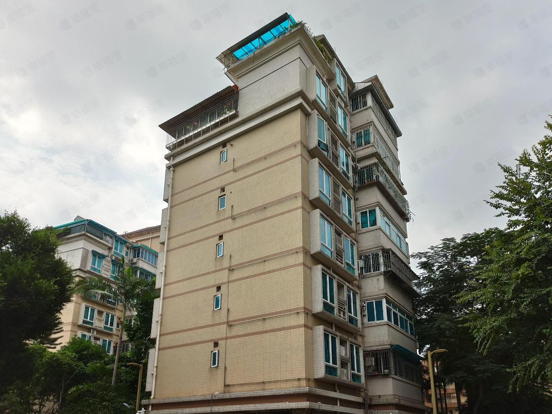 深圳罗湖-笋岗/2001年建新时速嘉园